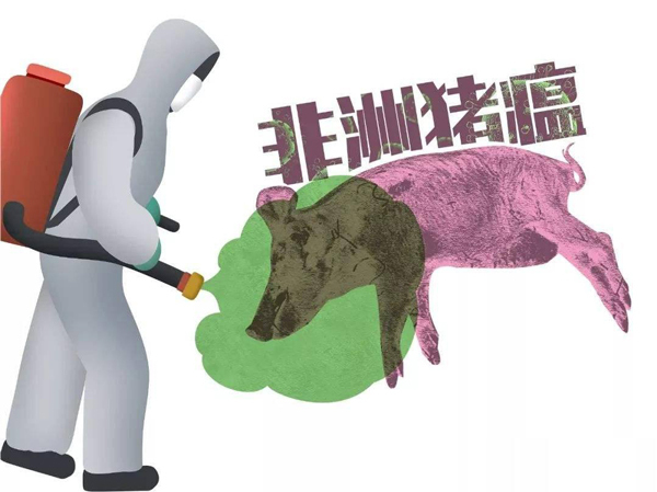 「紧急」重庆发生非洲猪瘟,猪肉还能不能吃?你要的信息在这里 「紧急」重庆发生非洲猪瘟,猪肉还能不能吃?你要的信息在这里