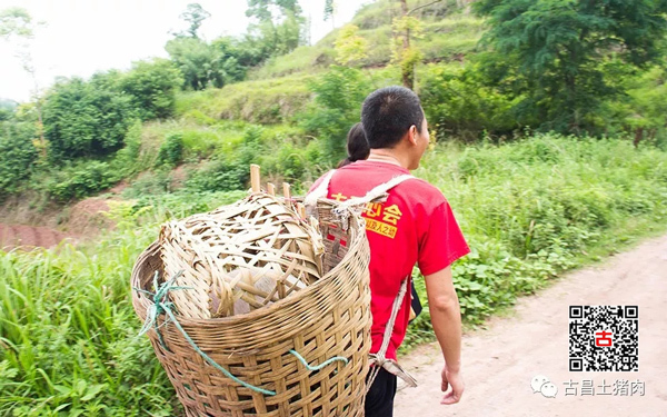 “六一”节助贫困,献爱心,古昌土猪肉愿ta快乐成长 “六一”节助贫困,献爱心,古昌土猪肉愿ta快乐成长