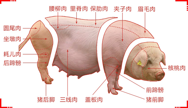 土猪肉怎么做才好吃?保肋肉、三线肉等着这些词“吃货”必考知识点 土猪肉怎么做才好吃?保肋肉、三线肉等着这些词“吃货”必考知识点