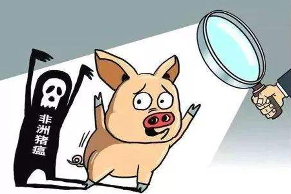 非洲猪瘟扑向全球 非洲猪瘟扑向全球